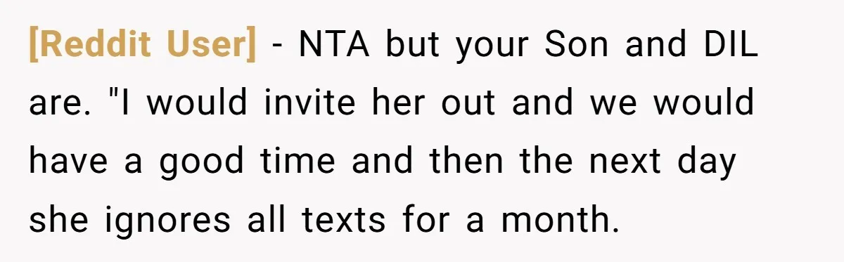 [Reddit User] − NTA but your Son and DIL are. "I would invite her out and we would have a good time and then the next day she ignores all...