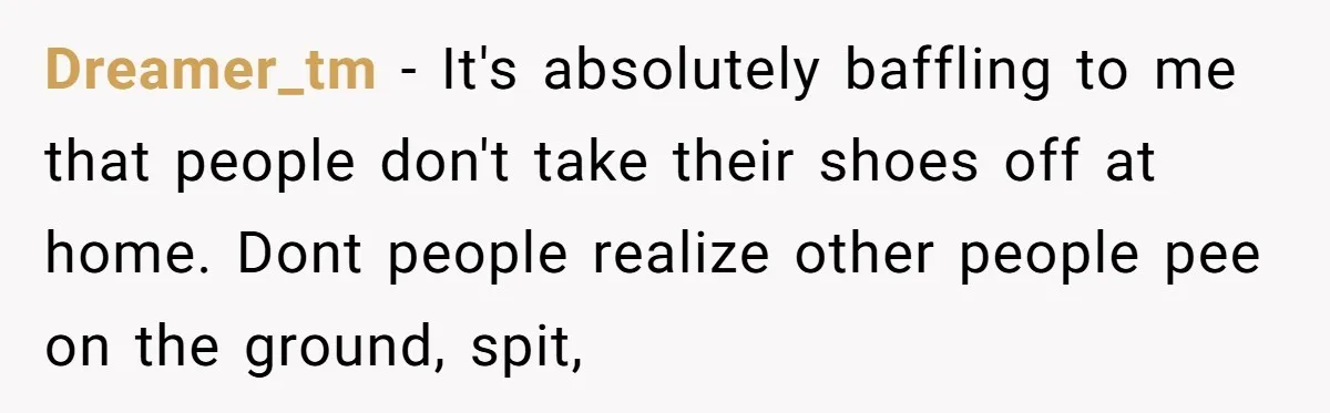 Dreamer_tm − It's absolutely baffling to me that people don't take their shoes off at home. Dont people realize other people pee on the ground, spit,