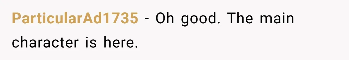 ParticularAd1735 − Oh good. The main character is here.