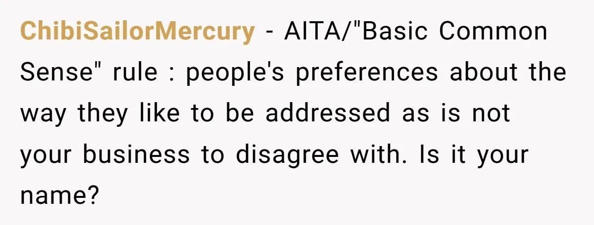 ChibiSailorMercury − AITA/"Basic Common Sense" rule : people's preferences about the way they like to be addressed as is not your business to disagree with. Is it your name?