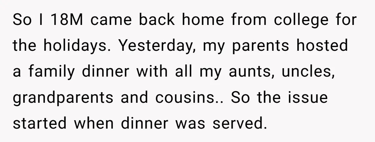 So I 18M came back home from college for the holidays. Yesterday, my parents hosted a family dinner with all my aunts, uncles, grandparents and cousins.. So the issue started...
