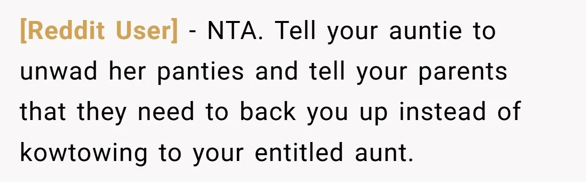 [Reddit User] − NTA. Tell your auntie to unwad her panties and tell your parents that they need to back you up instead of kowtowing to your entitled aunt.