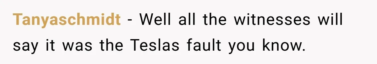 Tanyaschmidt − Well all the witnesses will say it was the Teslas fault you know.