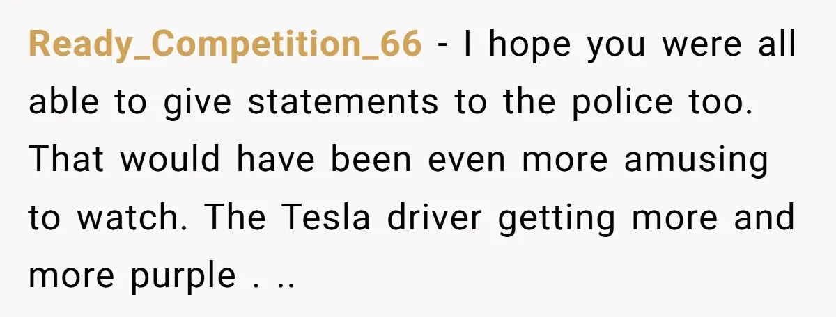 Ready_Competition_66 − I hope you were all able to give statements to the police too. That would have been even more amusing to watch. The Tesla driver getting more and...