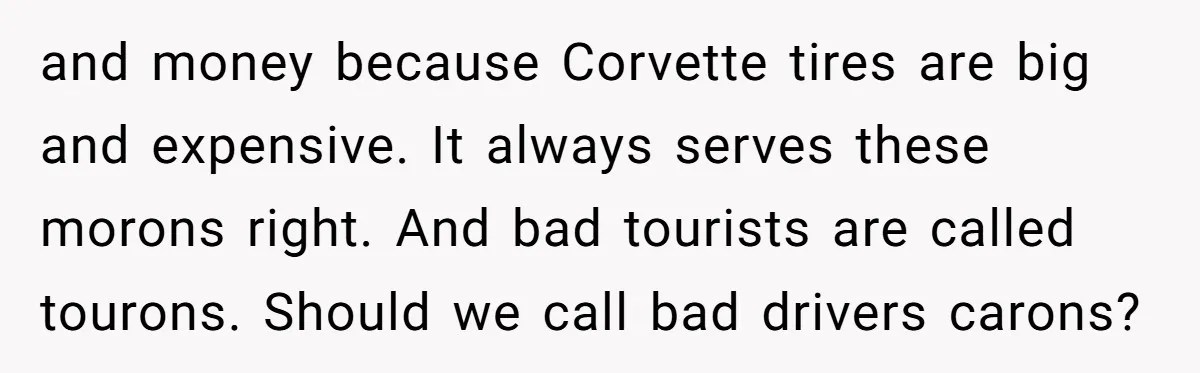 and money because Corvette tires are big and expensive. It always serves these morons right. And bad tourists are called tourons. Should we call bad drivers carons?