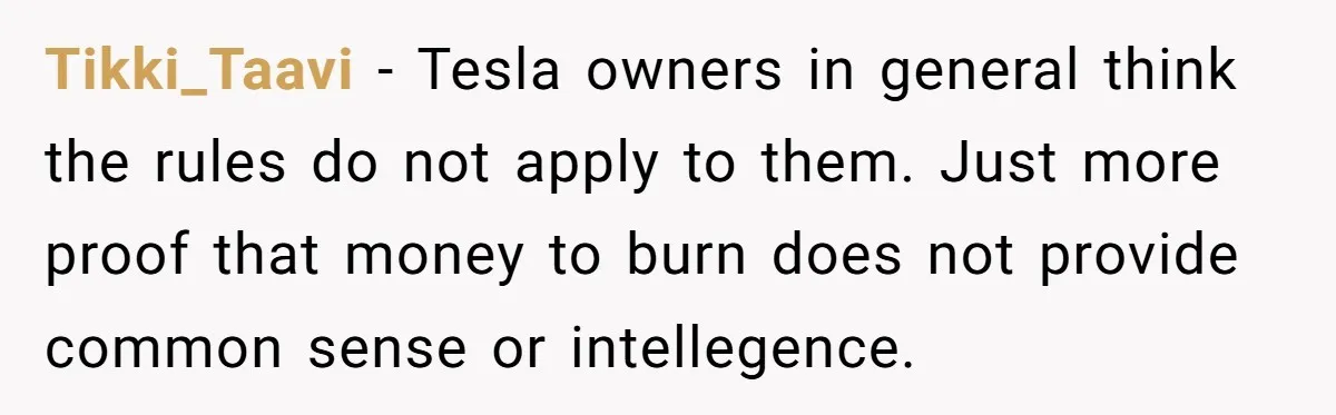 Tikki_Taavi − Tesla owners in general think the rules do not apply to them. Just more proof that money to burn does not provide common sense or intellegence.