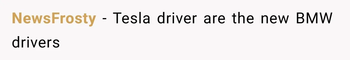 NewsFrosty − Tesla driver are the new BMW drivers