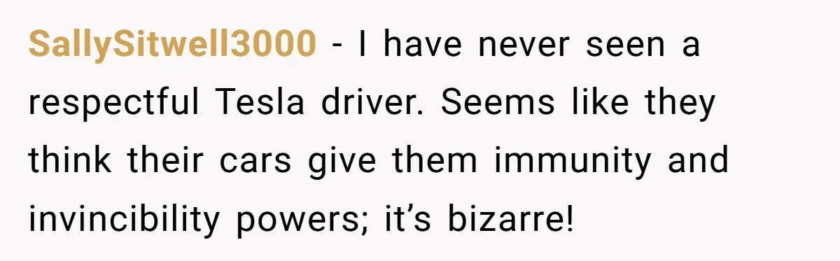 SallySitwell3000 − I have never seen a respectful Tesla driver. Seems like they think their cars give them immunity and invincibility powers; it’s bizarre!