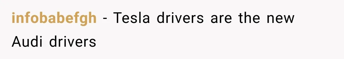 infobabefgh − Tesla drivers are the new Audi drivers