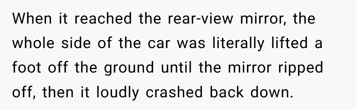 When it reached the rear-view mirror, the whole side of the car was literally lifted a foot off the ground until the mirror ripped off, then it loudly crashed back...