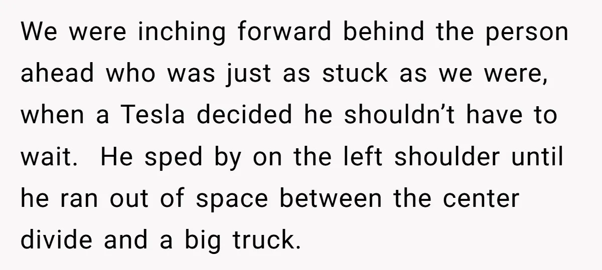 We were inching forward behind the person ahead who was just as stuck as we were, when a Tesla decided he shouldn’t have to wait. He sped by on the...
