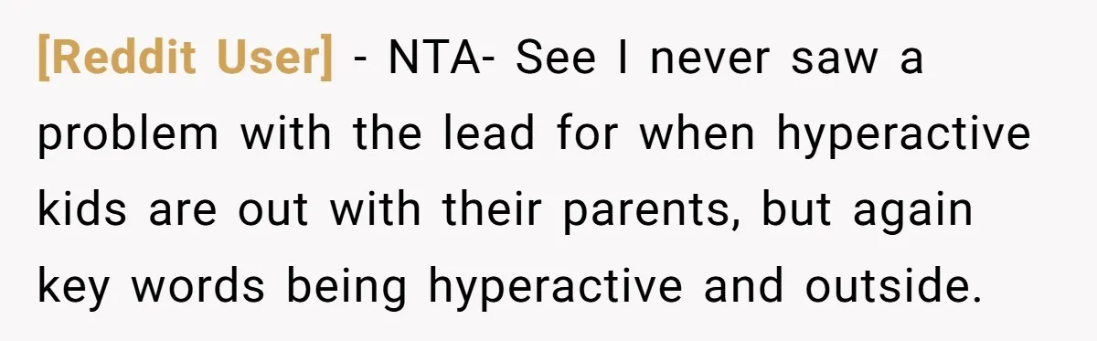 [Reddit User] − NTA- See I never saw a problem with the lead for when hyperactive kids are out with their parents, but again key words being hyperactive and outside.