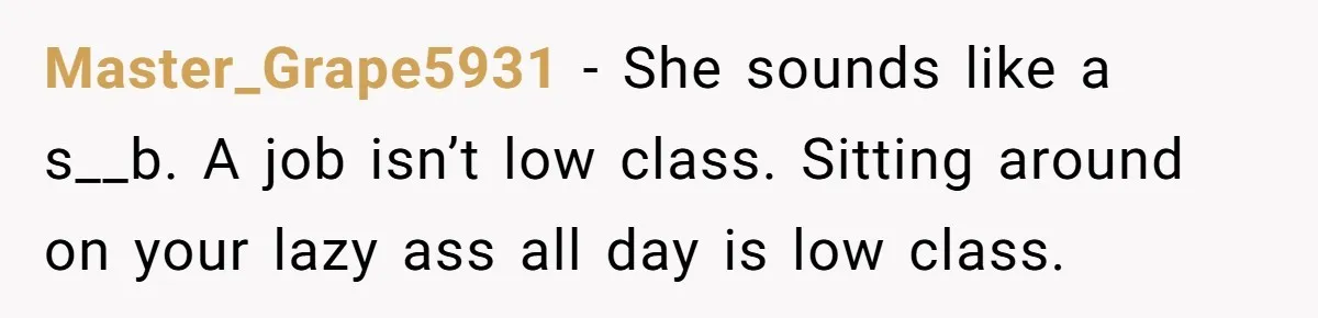 Master_Grape5931 − She sounds like a s__b. A job isn’t low class. Sitting around on your lazy ass all day is low class.