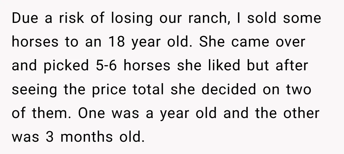 Due a risk of losing our ranch, I sold some horses to an 18 year old. She came over and picked 5-6 horses she liked but after seeing the price...