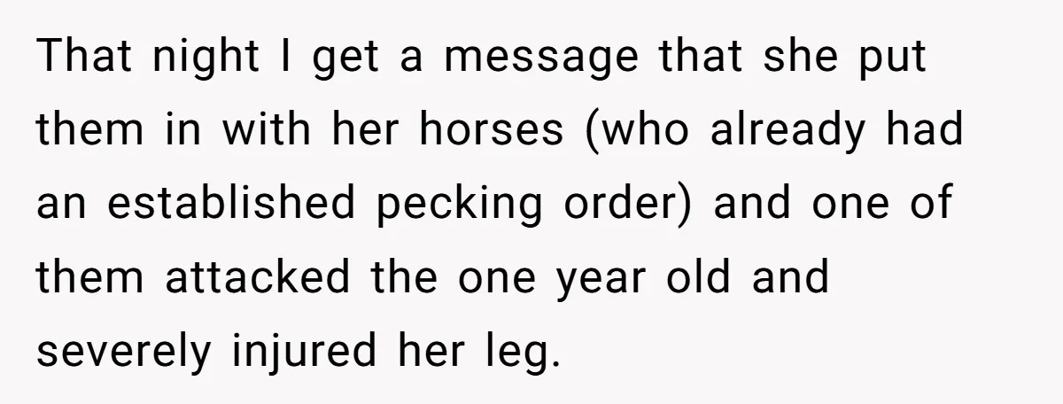 That night I get a message that she put them in with her horses (who already had an established pecking order) and one of them attacked the one year old...