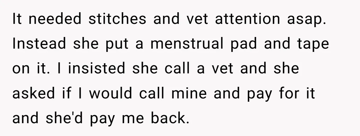 It needed stitches and vet attention asap. Instead she put a menstrual pad and tape on it. I insisted she call a vet and she asked if I would call...