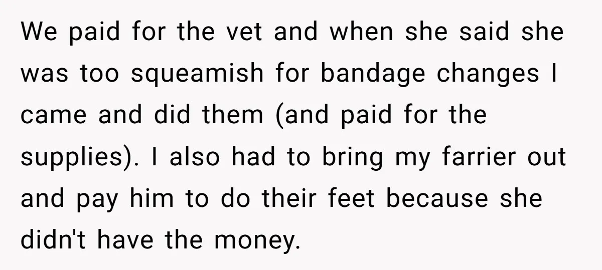 We paid for the vet and when she said she was too squeamish for bandage changes I came and did them (and paid for the supplies). I also had to...