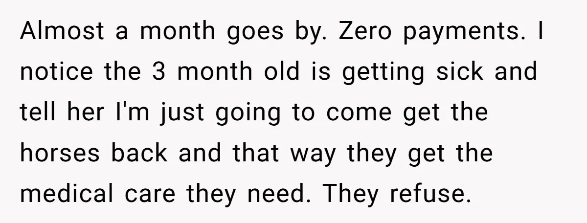 Almost a month goes by. Zero payments. I notice the 3 month old is getting sick and tell her I'm just going to come get the horses back and that...