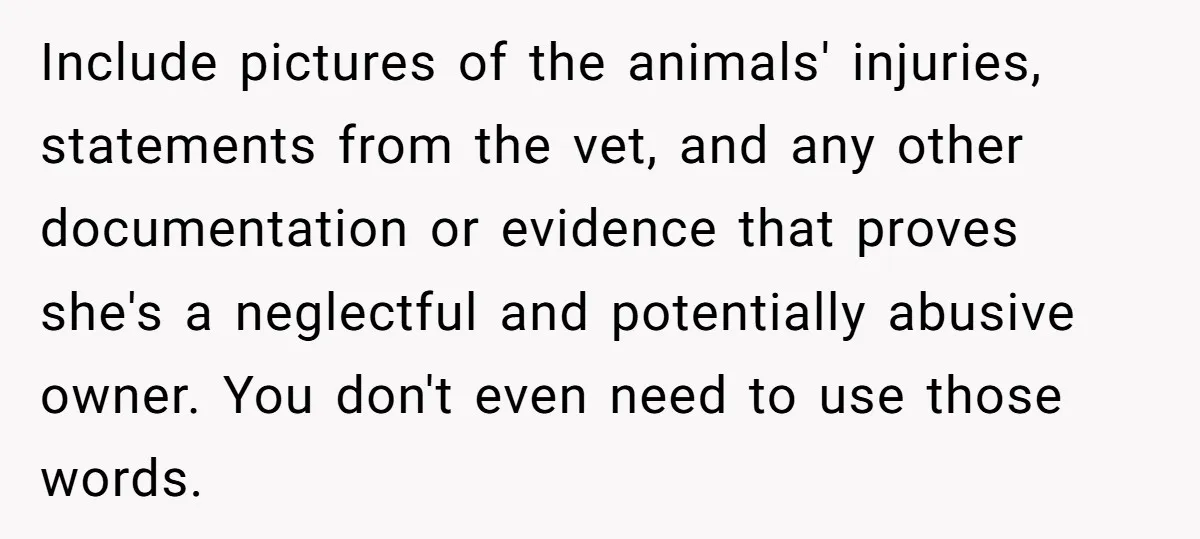 Include pictures of the animals' injuries, statements from the vet, and any other documentation or evidence that proves she's a neglectful and potentially abusive owner. You don't even need to...