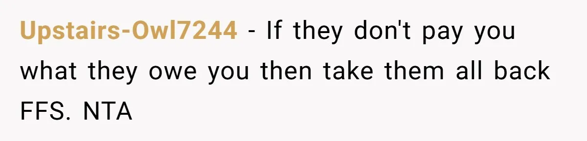 Upstairs-Owl7244 − If they don't pay you what they owe you then take them all back FFS. NTA