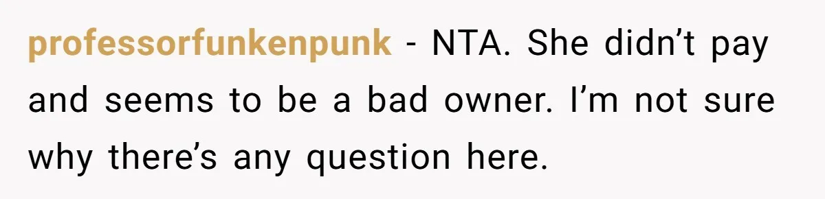 professorfunkenpunk − NTA. She didn’t pay and seems to be a bad owner. I’m not sure why there’s any question here.