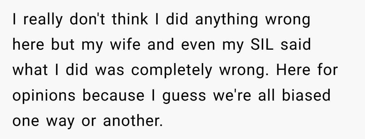 I really don't think I did anything wrong here but my wife and even my SIL said what I did was completely wrong. Here for opinions because I guess we're...