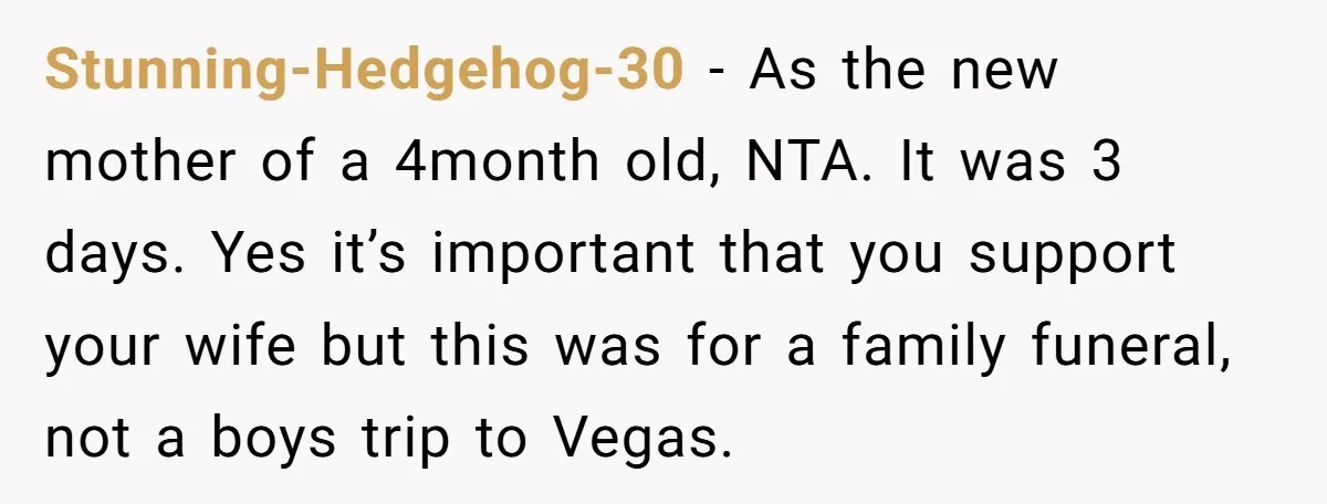 Stunning-Hedgehog-30 − As the new mother of a 4month old, NTA. It was 3 days. Yes it’s important that you support your wife but this was for a family funeral,...
