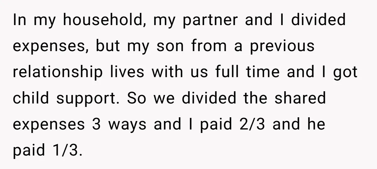 In my household, my partner and I divided expenses, but my son from a previous relationship lives with us full time and I got child support. So we divided the...