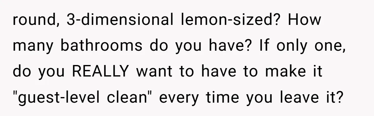 round, 3-dimensional lemon-sized? How many bathrooms do you have? If only one, do you REALLY want to have to make it "guest-level clean" every time you leave it?
