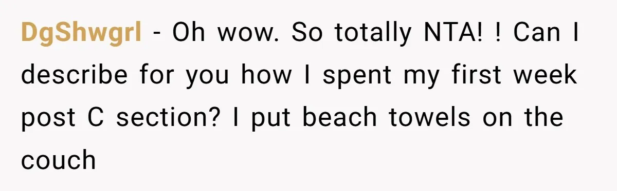 DgShwgrl − Oh wow. So totally NTA! ! Can I describe for you how I spent my first week post C section? I put beach towels on the couch