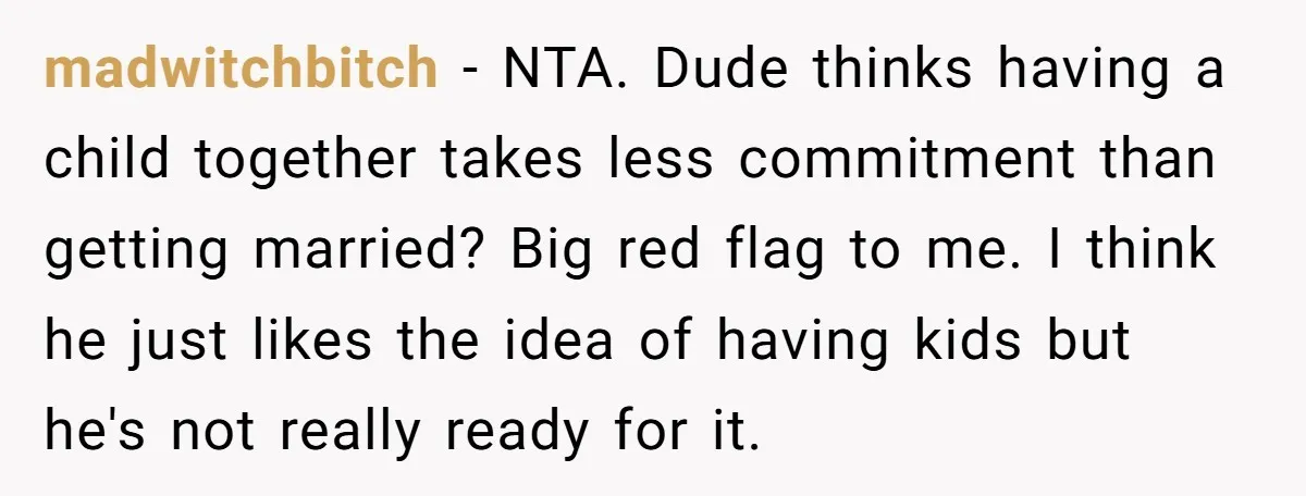 madwitchbitch − NTA. Dude thinks having a child together takes less commitment than getting married? Big red flag to me. I think he just likes the idea of having kids...