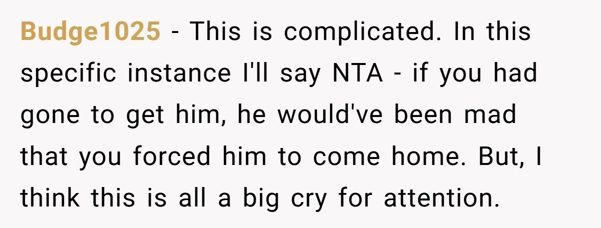 Budge1025 − This is complicated. In this specific instance I'll say NTA - if you had gone to get him, he would've been mad that you forced him to come...