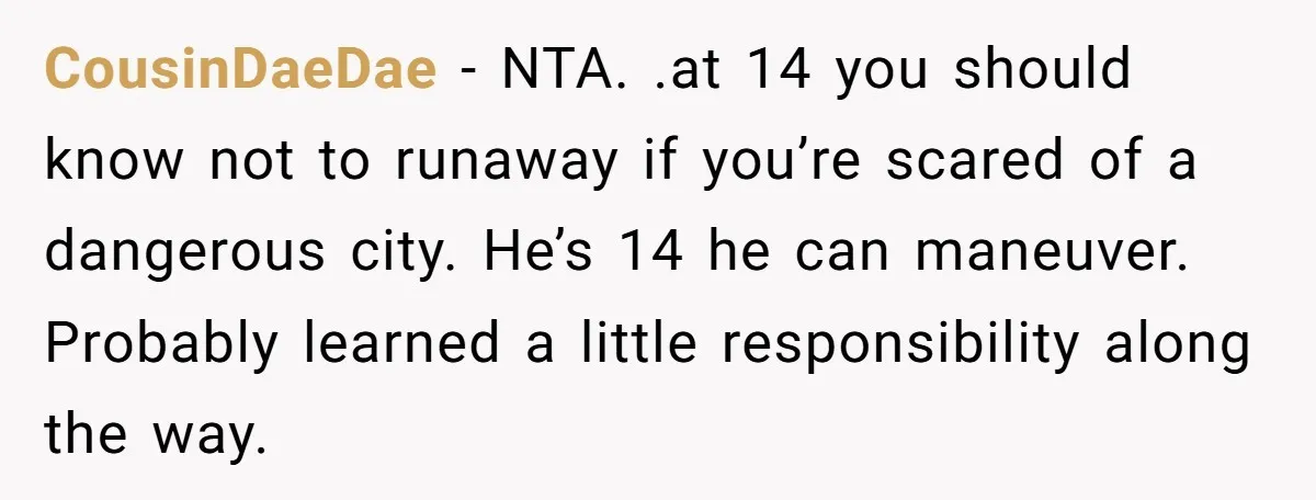 CousinDaeDae − NTA. .at 14 you should know not to runaway if you’re scared of a dangerous city. He’s 14 he can maneuver. Probably learned a little responsibility along the...