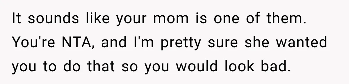 It sounds like your mom is one of them. You're NTA, and I'm pretty sure she wanted you to do that so you would look bad.