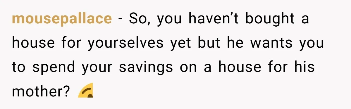 mousepallace − So, you haven’t bought a house for yourselves yet but he wants you to spend your savings on a house for his mother? 😯