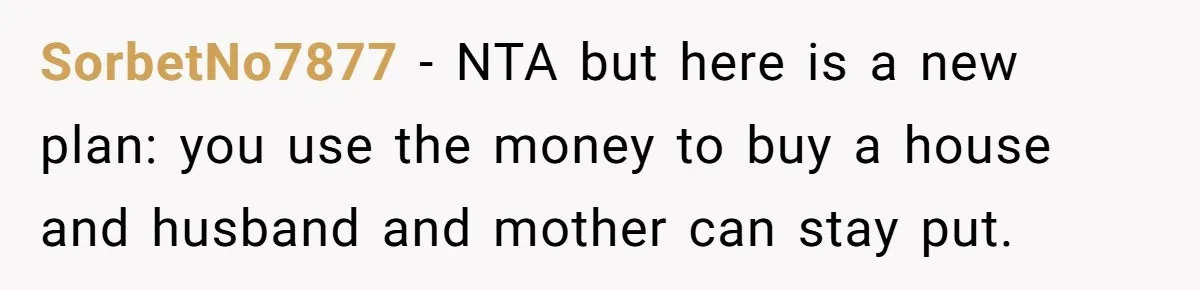 SorbetNo7877 − NTA but here is a new plan: you use the money to buy a house and husband and mother can stay put.