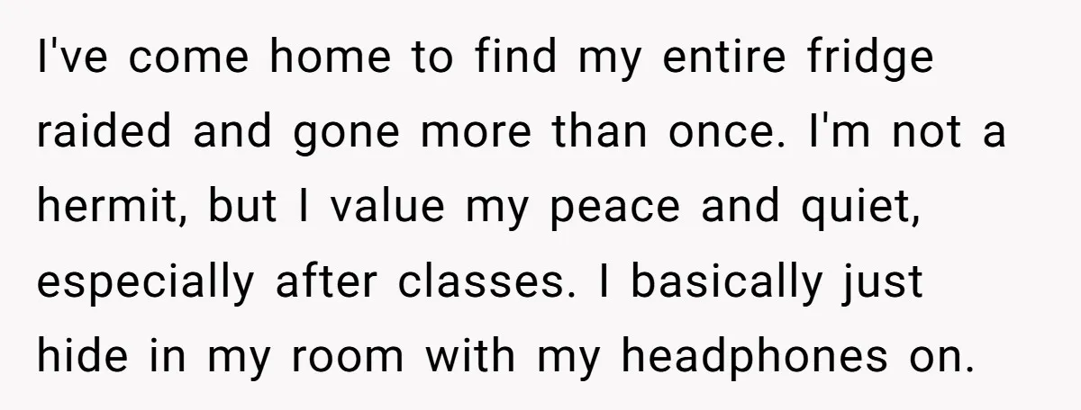 I've come home to find my entire fridge raided and gone more than once. I'm not a hermit, but I value my peace and quiet, especially after classes. I basically...