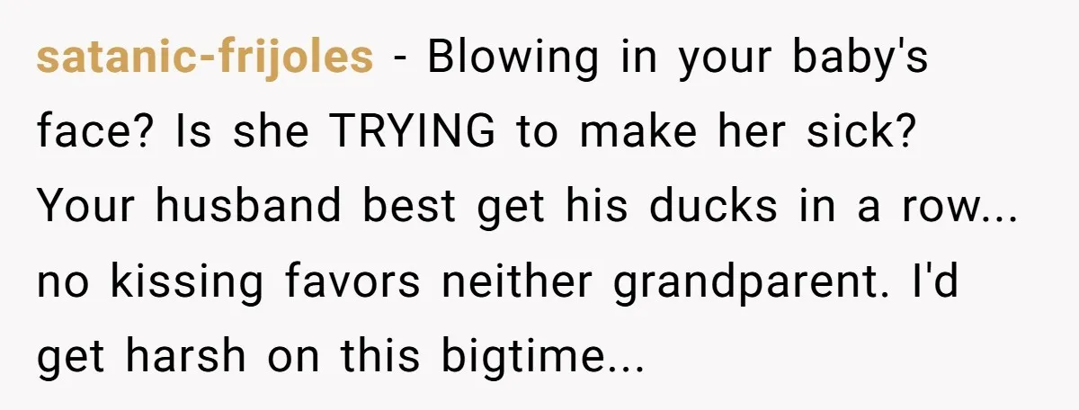 satanic-frijoles − Blowing in your baby's face? Is she TRYING to make her sick? Your husband best get his ducks in a row... no kissing favors neither grandparent. I'd get...