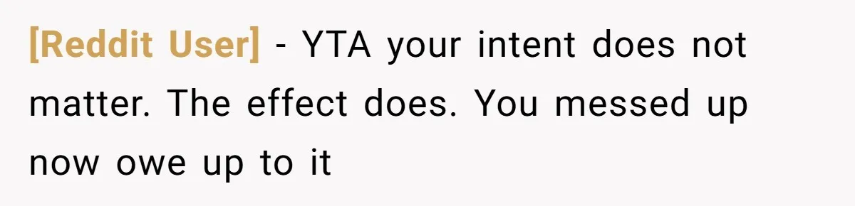 [Reddit User] − YTA your intent does not matter. The effect does. You messed up now owe up to it