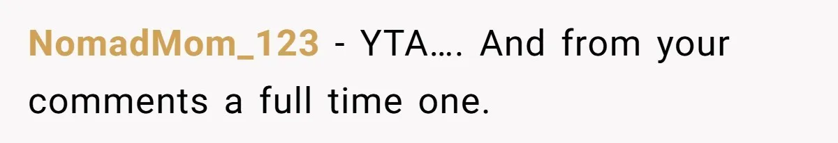 NomadMom_123 − YTA…. And from your comments a full time one.