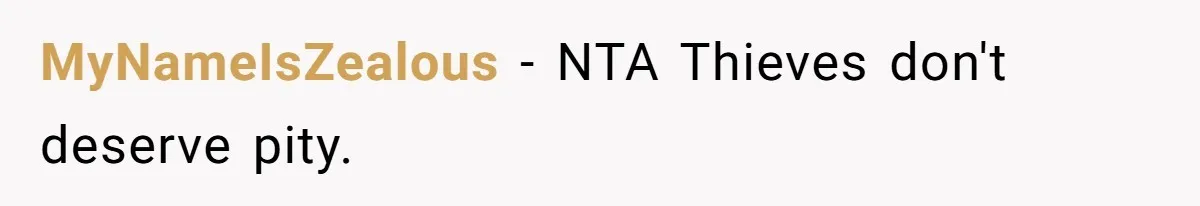 MyNameIsZealous − NTA Thieves don't deserve pity.
