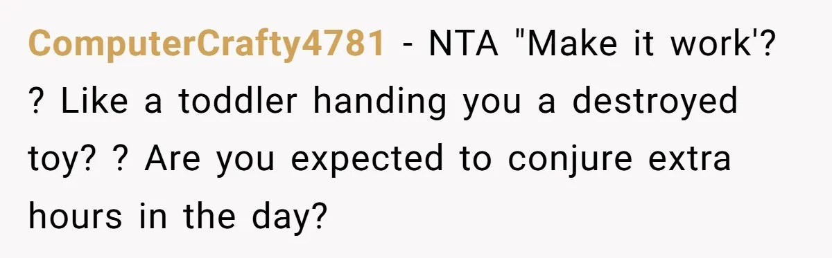 ComputerCrafty4781 − NTA "Make it work'? ? Like a toddler handing you a destroyed toy? ? Are you expected to conjure extra hours in the day?