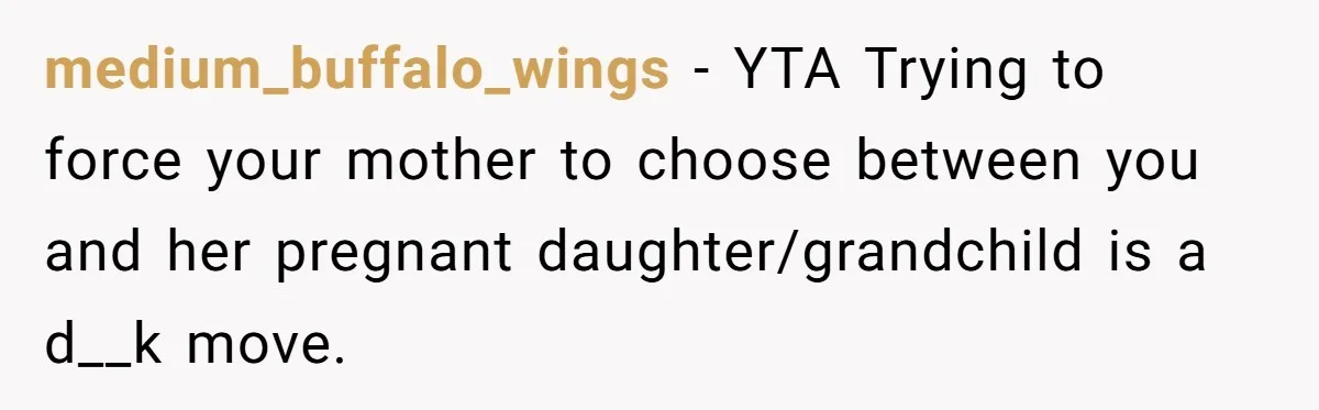 medium_buffalo_wings − YTA Trying to force your mother to choose between you and her pregnant daughter/grandchild is a d__k move.