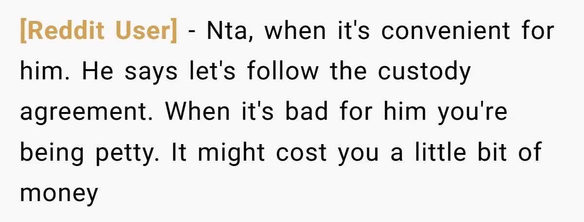 [Reddit User] − Nta, when it's convenient for him. He says let's follow the custody agreement. When it's bad for him you're being petty. It might cost you a little...