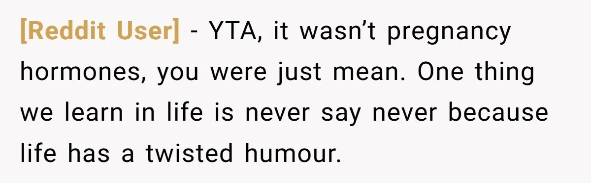 [Reddit User] − YTA, it wasn’t pregnancy hormones, you were just mean. One thing we learn in life is never say never because life has a twisted humour.