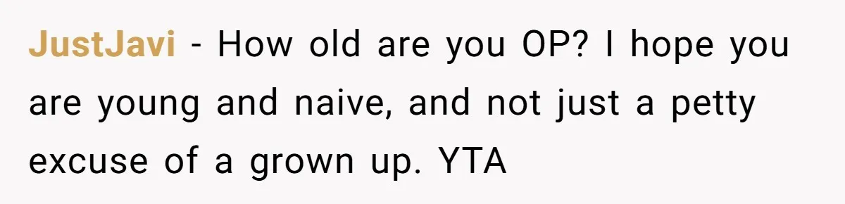 JustJavi − How old are you OP? I hope you are young and naive, and not just a petty excuse of a grown up. YTA