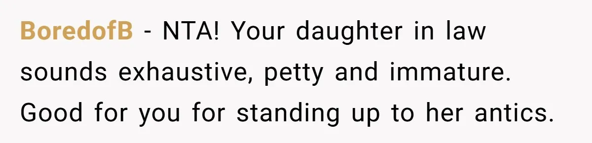 BoredofB − NTA! Your daughter in law sounds exhaustive, petty and immature. Good for you for standing up to her antics.