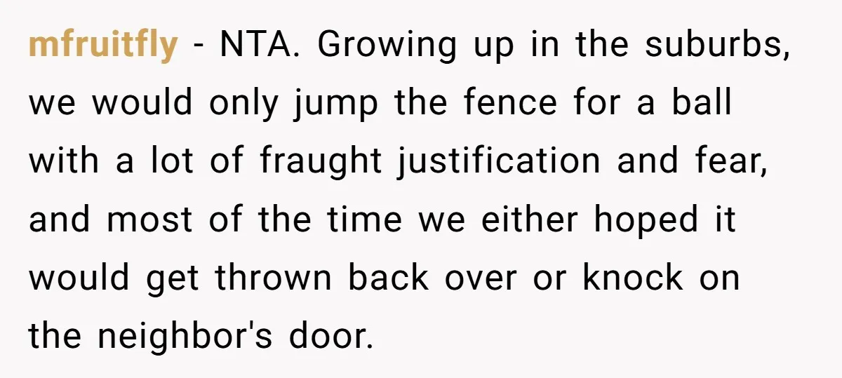mfruitfly − NTA. Growing up in the suburbs, we would only jump the fence for a ball with a lot of fraught justification and fear, and most of the time...