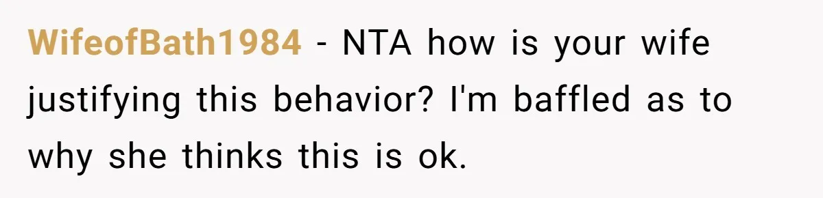 WifeofBath1984 − NTA how is your wife justifying this behavior? I'm baffled as to why she thinks this is ok.