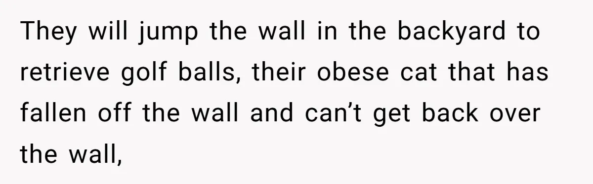 They will jump the wall in the backyard to retrieve golf balls, their obese cat that has fallen off the wall and can’t get back over the wall,